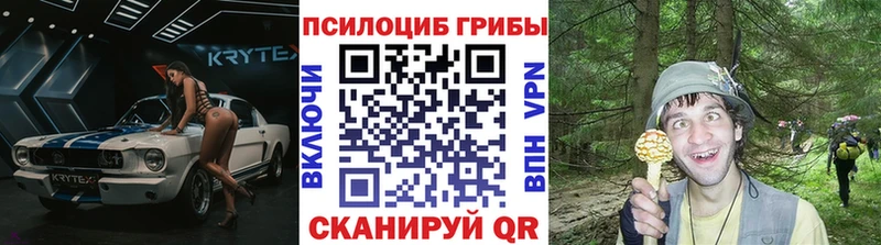 Псилоцибиновые грибы Magic Shrooms  Свободный 